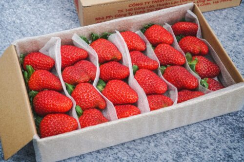 Hop dau tay thuong 1200x800 1